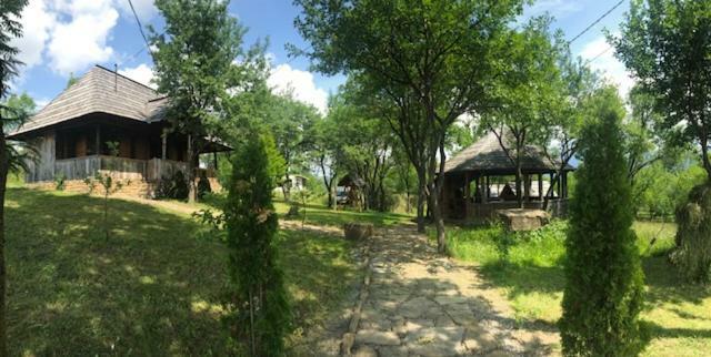 Granny'S House Villa Moisei Ngoại thất bức ảnh